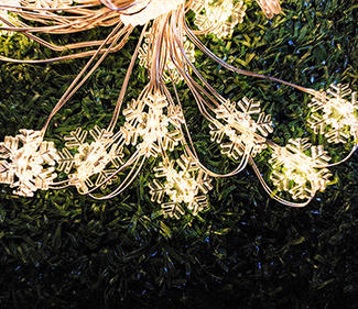 BO copper wire LED lights snowflake  DD-2013 