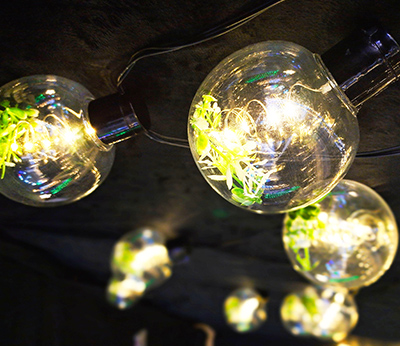 micro LED party lights with flower inside warmwhtie  DD-3026
